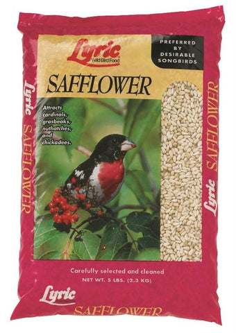 5lb Lyric Safflower Seed