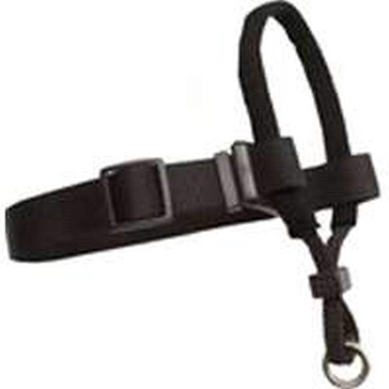 1x18-32in Lg Blk Dog Halter