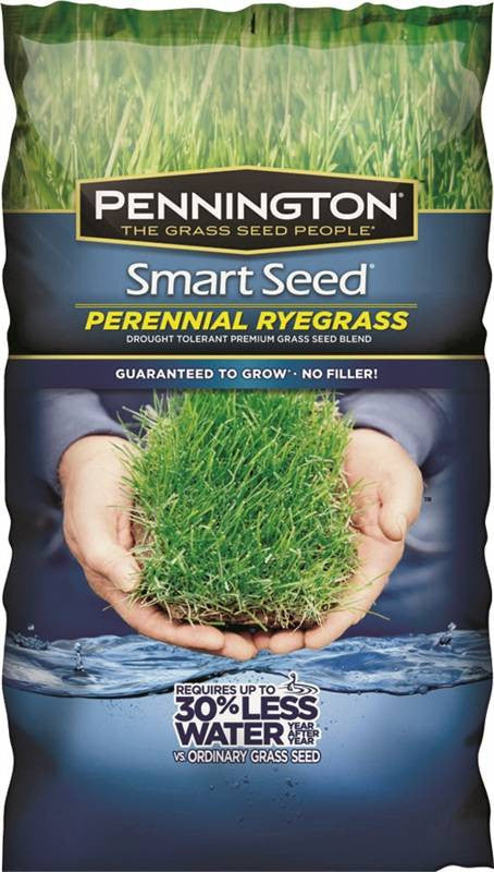 Seed Perennial Rye Blend 3lb