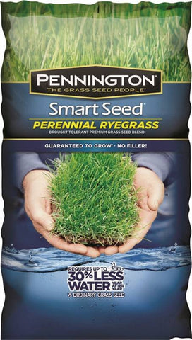 Seed Perennial Rye Blend 3lb