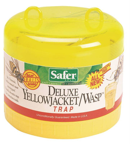 Yellow Jacket-wasp Trap