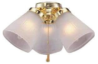 Light Ceil Fan 3lt Fro Cand Pb