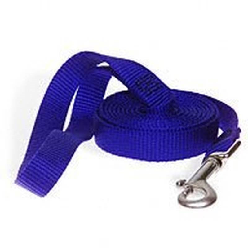 4'x5-8 Nylon Blue Leash