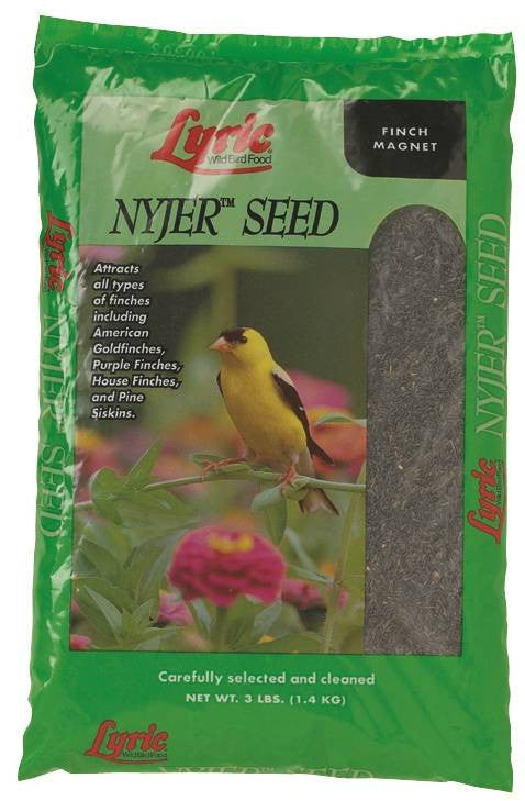 3lb Lyric Nyjer Seed