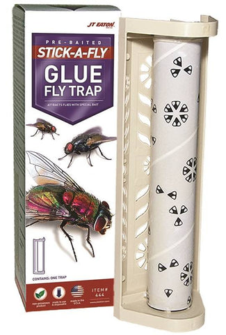 Trap Fly With Pheromones