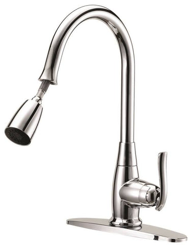 Faucet Kitchen Pulldown Chrome