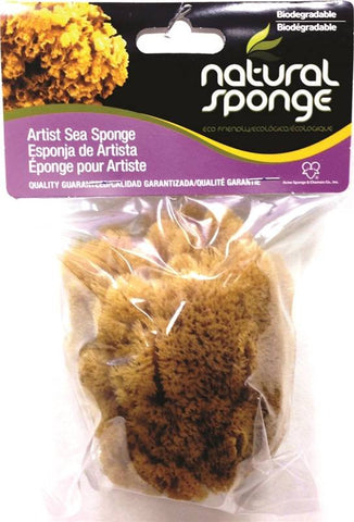 Sponge Artist Natl Fine 4-5in