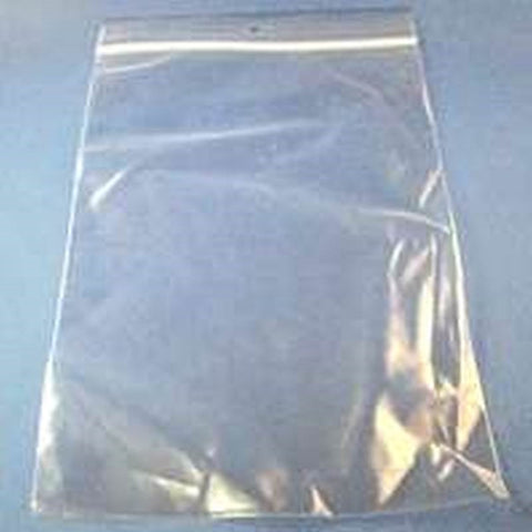 Bag Plastic With Hang Hole 6x9