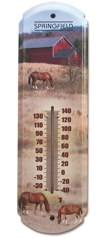 Thermometer Horse 17 In