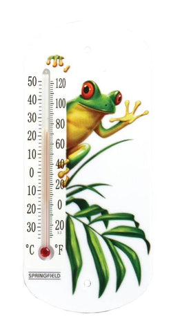 Thermometer Frog Window