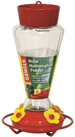 Feeder Hummingbird Royal