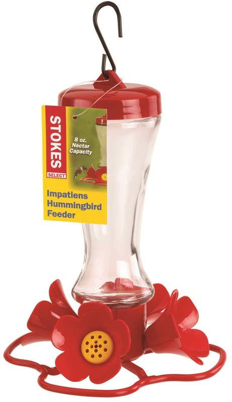 Feeder Bird Glass Impatiens