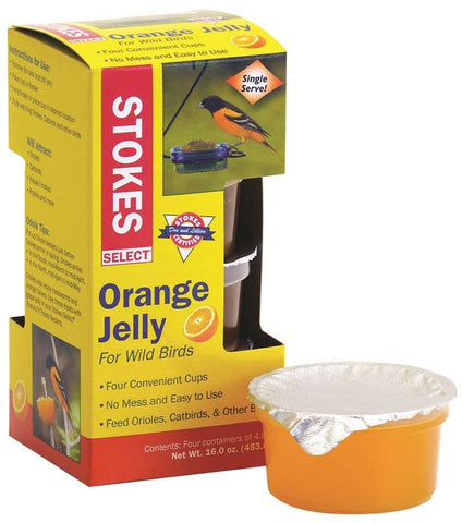 Food Bird Orange Jelly