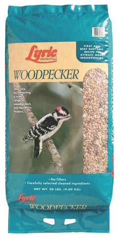 20lb Lyric Woodpecker