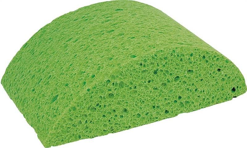 Sponge Cellulose Turtleback