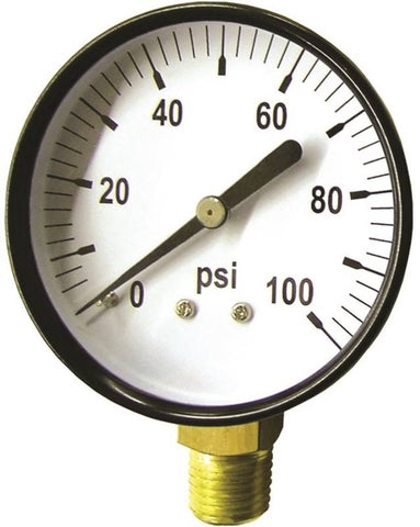 Gauge Pressure Standard 100psi