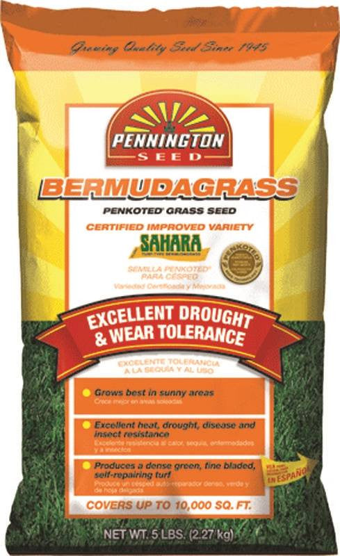 Sahara Bermuda Seed Penkoted 5