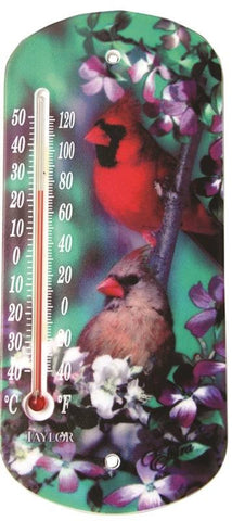 Thermometer Outdr Suctn Cup 8"