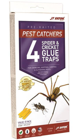 Spider & Cricket Glue Trap 4pk