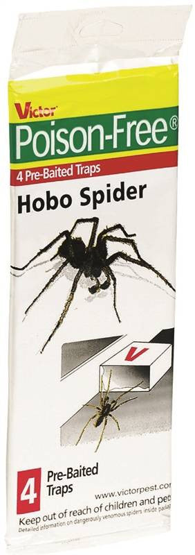 Hobo Spider Trap