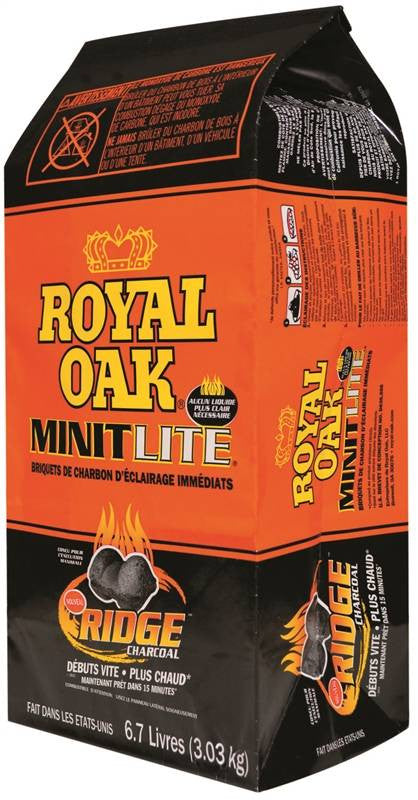 Charcoal Minit Lite Can 6.7lb