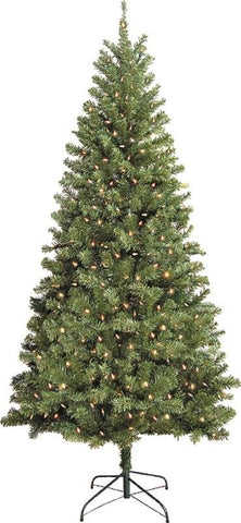 Tree Douglas 7ft Clear Cul