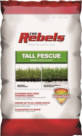 Seed Tall Fescue Mixture 7lb
