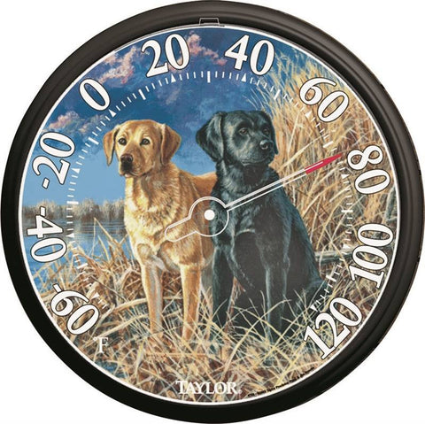 Thermometer Outdoor 13.5" Labs
