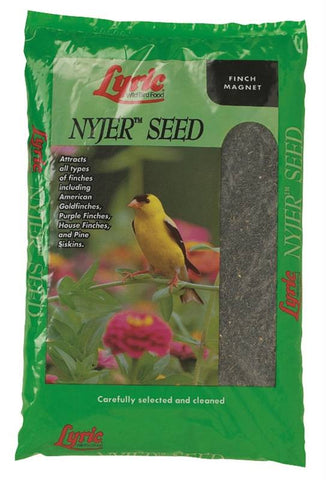 10lb Lyric Nyjer Seed