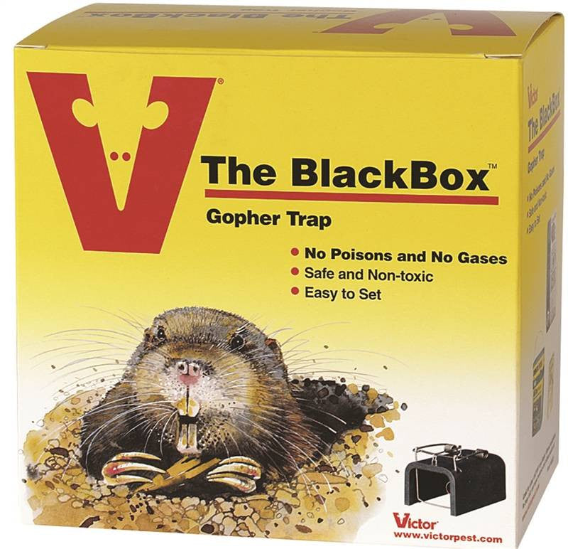 Gopher Trap Blackbox