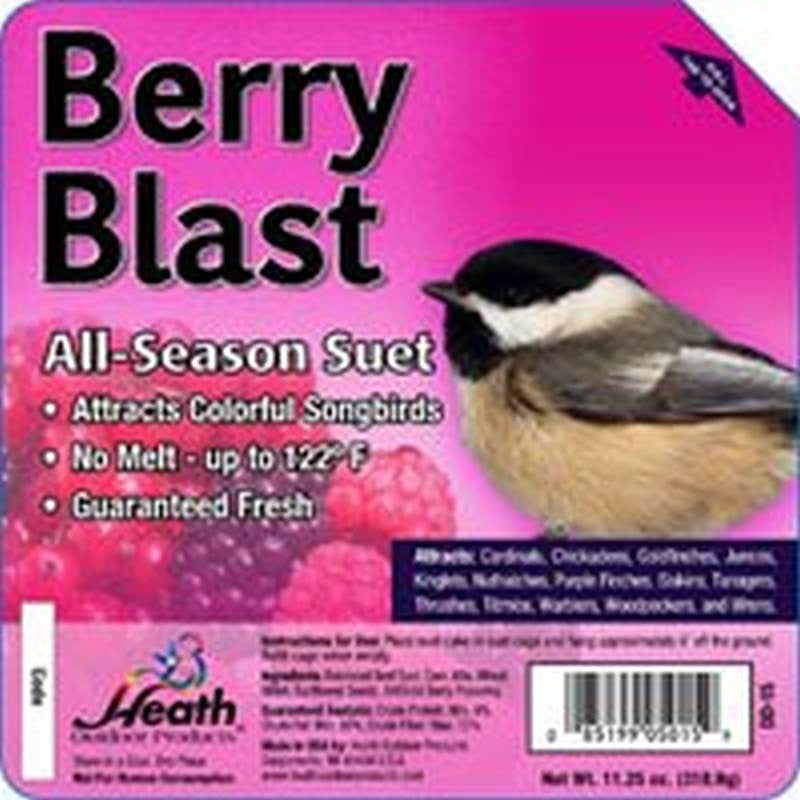 Berry Blast Suet