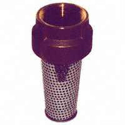 Foot Valve Fe Thread 1in