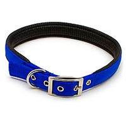 24x1 2ply Nylon Blue Collar