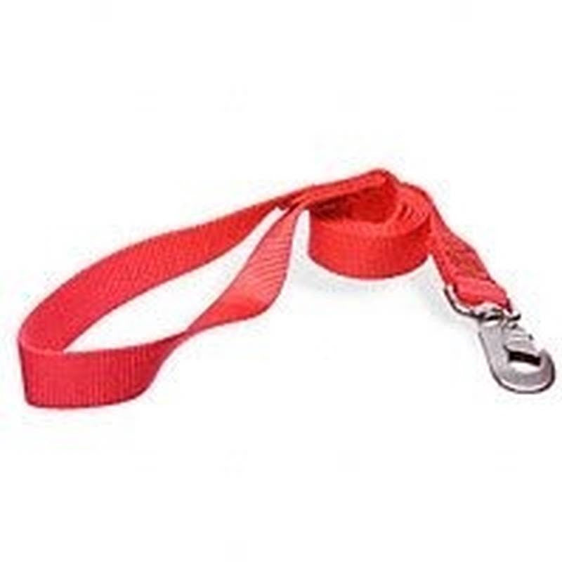 4'x1" Nylon Single Red Leash