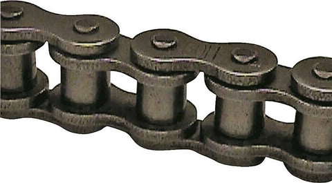 Chain Roller No.100 10ft