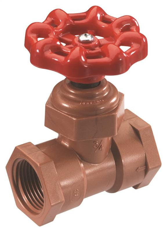 Globe Valve Celcon 1-2 Fip