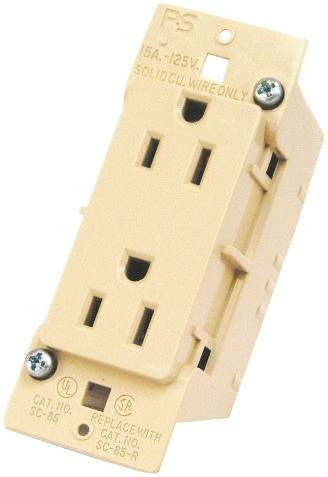 Receptacle Duplex  Ivory