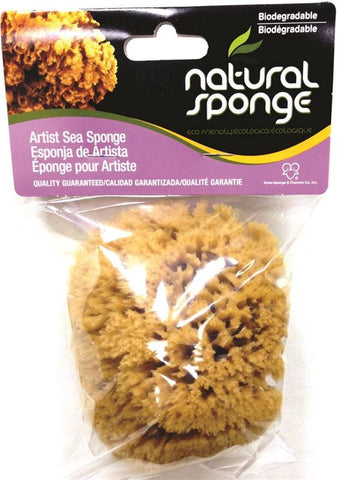 Sponge Artist Natl Med 4-5in