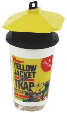 Yellow Jacket Trap-bait