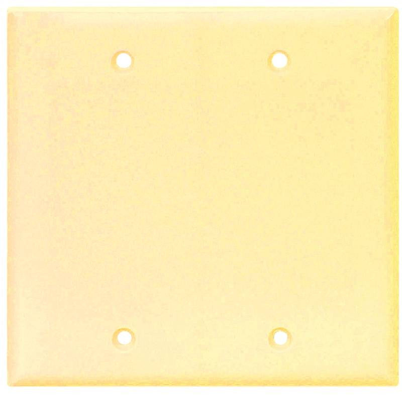 Wall Plate 2 Gang Blank Std Iv