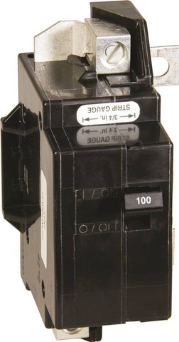 Circuit Breaker Main Qo 2p100a