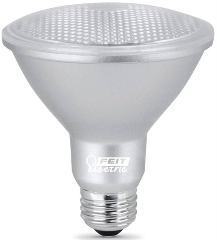 Bulb Led Par30 75w Equiv Short