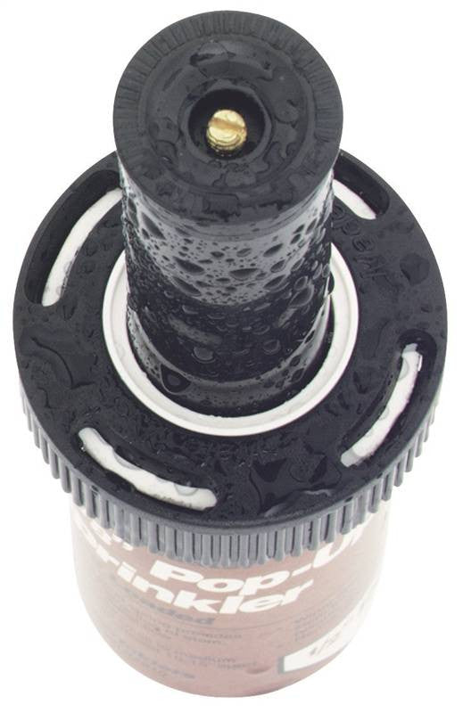 2in 1-4pttrn Pop-up Sprinkler