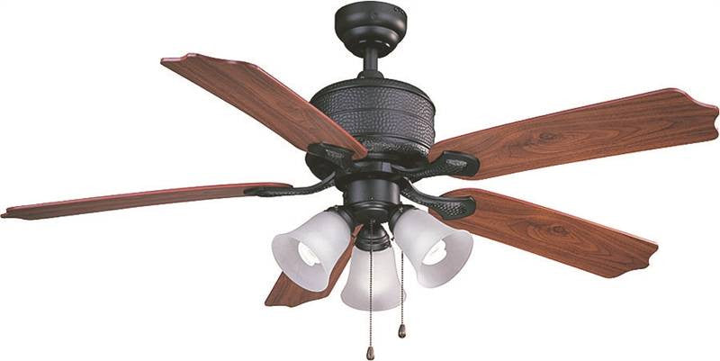 Fan Ceil 52in5bld-3lt Nat Iron