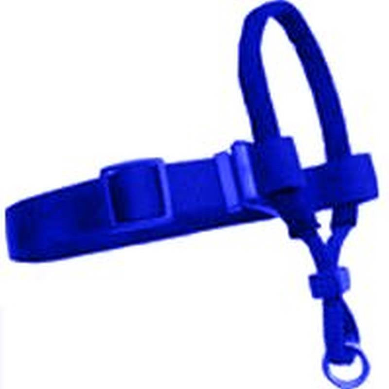 1x18-32in Lg Blue Dog Halter