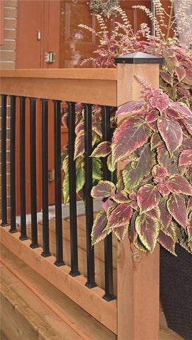 Baluster Sq 3-4x26in Blk