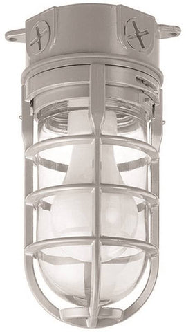 Fixture Ceil 1lt Waterprf Cage