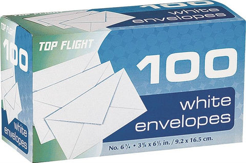 Envelopes Plain 6-3-4in