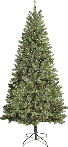 Tree Douglas 7ft Multi Ul