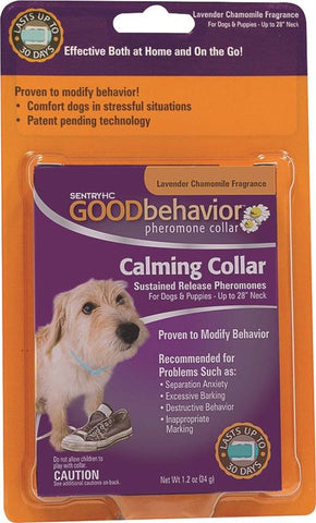 28in Good Behavior Dog Collar